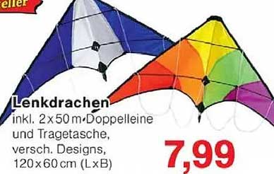 Lenkdrachen inkl. 2 x 50 m Doppelleine und Tragetasche, verschiedene Designs, 120 x 60 cm (L x B)