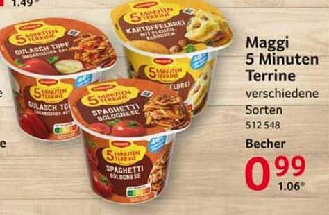 Maggi 5 Minuten Terrine verschiedene Sorten