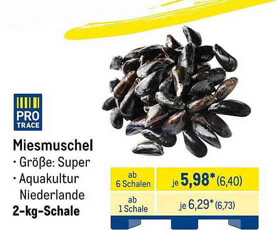 Miesmuschel - 2-kg-Schale aus Aquakultur
