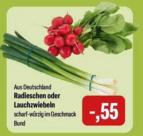 Radieschen oder Lauchzwiebeln - frisch und würzig!