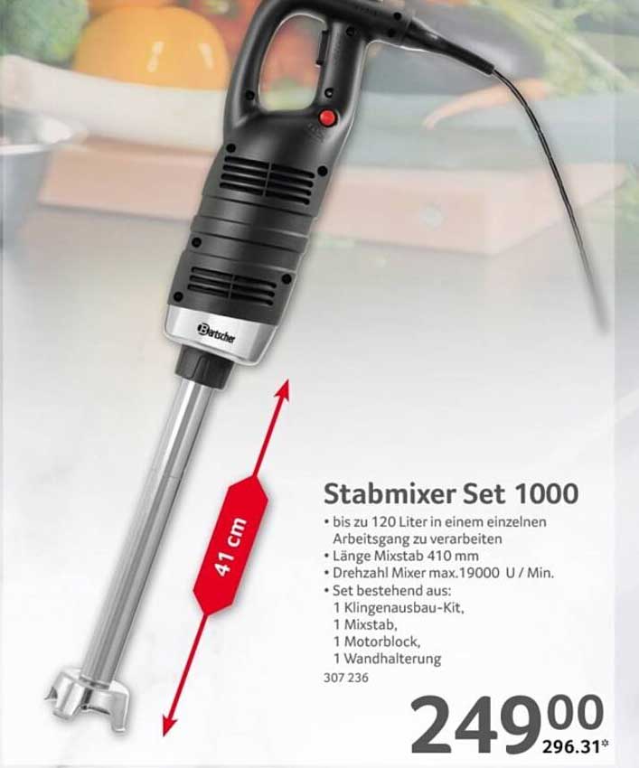 Stabmixer Set 1000