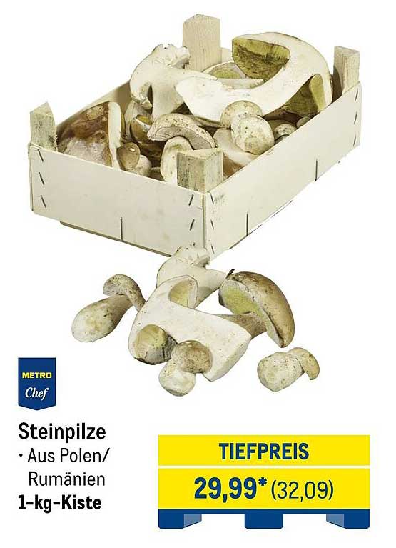 Steinpilze - Aus Polen/Rumänien, 1-kg-Kiste