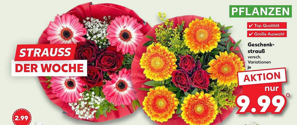 Strauss der Woche - Geschenkstrauß verschiedenster Variationen