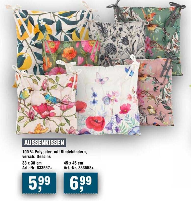 AUSSENKISSEN