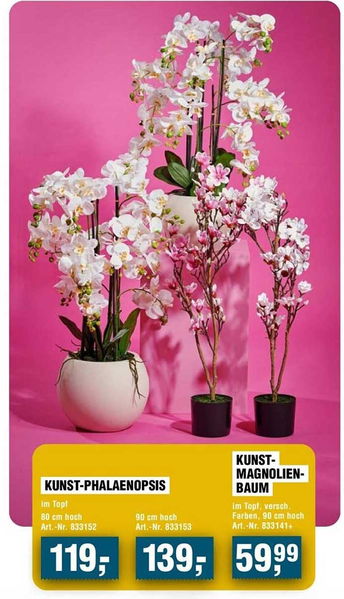 KUNST-PHALAENOPSIS