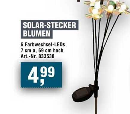 SOLAR-STECKER BLUMEN
