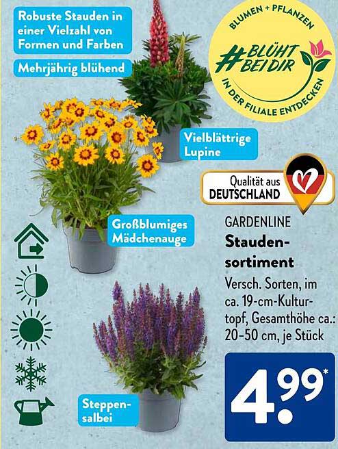 GARDENLINE Stauden-Sortiment