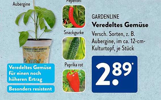 GARDENLINE Veredeltes Gemüse, Versch. Sorten, z. B. Aubergine, im ca. 12-cm-Kulturtopf, je Stück