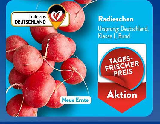 Radieschen - Tagesfrischer Preis