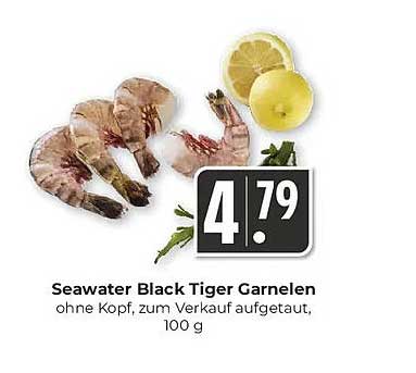 Seawater Black Tiger Garnelen