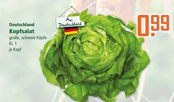 Kopfsalat - große, schwere Köpfe Kl. 1 je Kopf