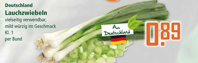 Lauchzwiebeln - vielseitig verwendbar und mild würzig