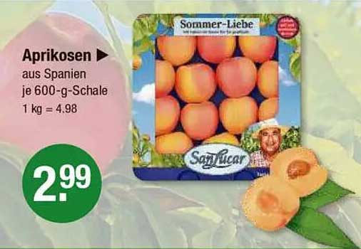 Aprikosen aus Spanien, 600-g-Schale