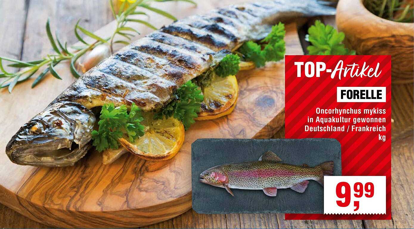 Forelle Oncorhynchus mykiss in Aquakultur gewonnen