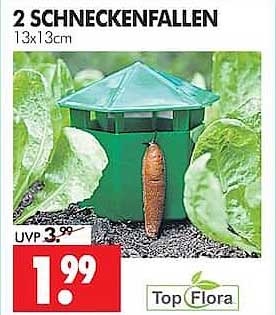 2 SCHNECKENFALLEN