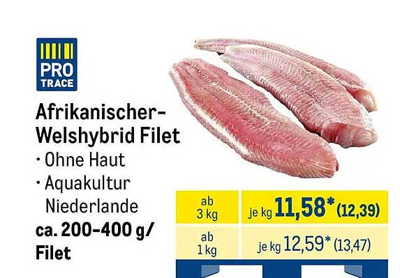 Afrikanischer-Welshybrid Filet