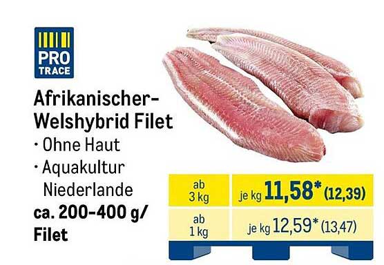 Afrikanischer-Welshybrid Filet
