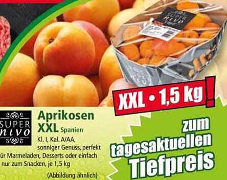 Aprikosen XXL Spanien