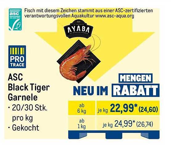 ASC Black Tiger Garnele