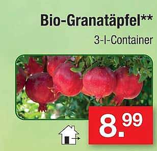 Bio-Granatäpfel**