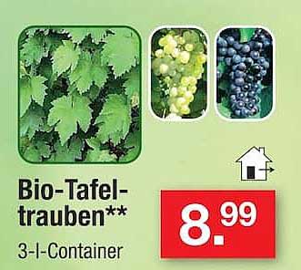Bio-Tafeltrauben** 3-I-Container