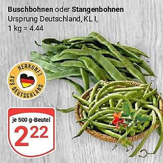 Buschbohnen oder Stangenbohnen