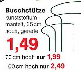 Buschstüte