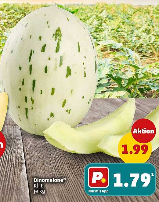 Dinomelone*