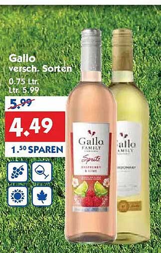 Gallo versch. Sorten 0,75 ltr.
