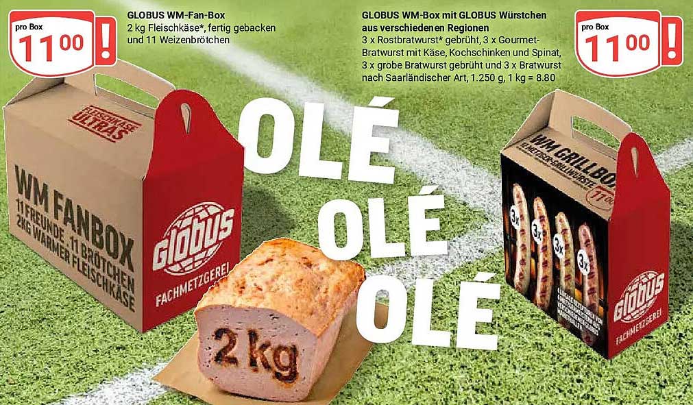 GLOBUS WM-Fan-Box