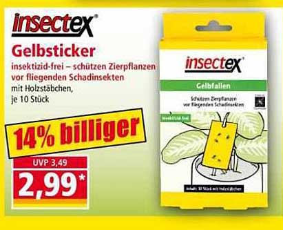 insectex Gelbsticker
