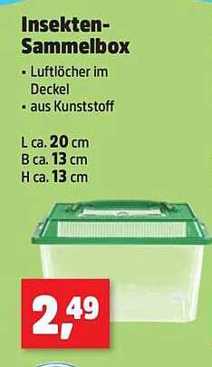 Insekten-Sammelbox