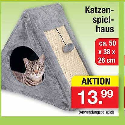 Katzen-spiel-haus