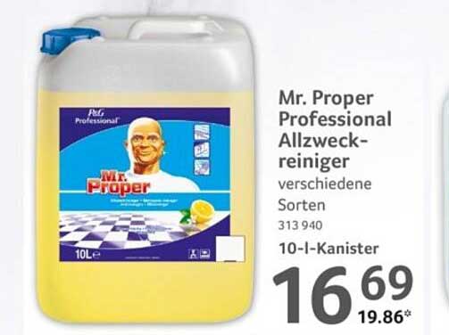 Mr. Proper Professional Allzweckreiniger verschiedene Sorten 10l-Kanister