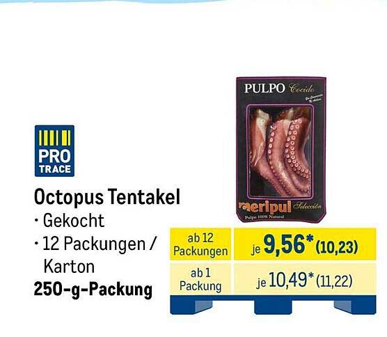 Octopus Tentakel