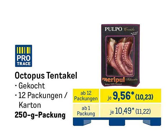 Octopus Tentakel