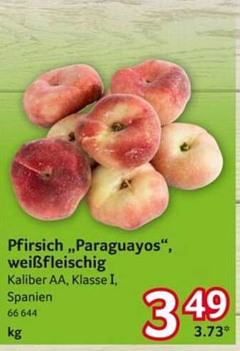 Pfirsich „Paraguayos“, weißfleischig