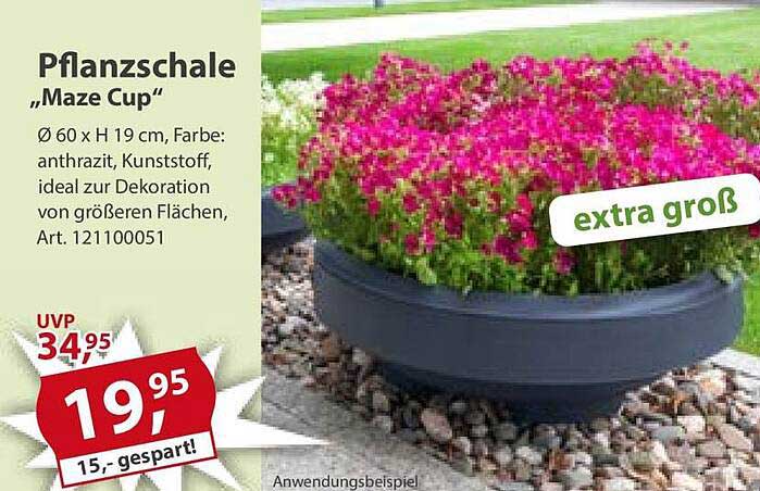Pflanzschale „Maze Cup“