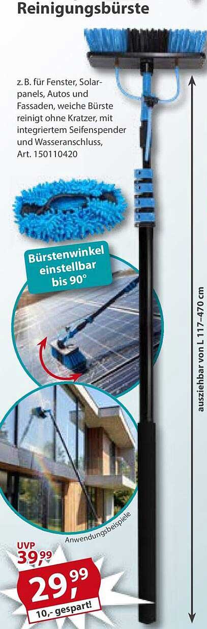 Reinigungsbürste
