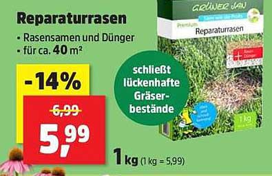 Reparaturrasen