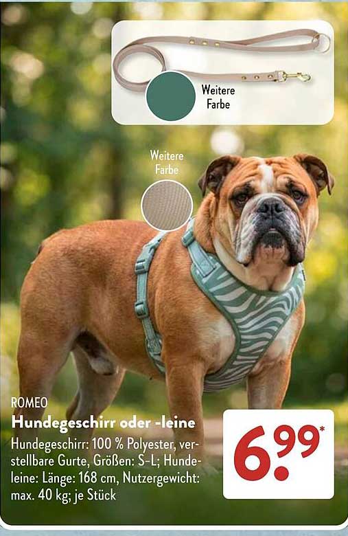 ROMEO Hundegeschirr oder -leine