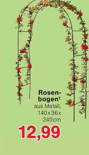 Rosen-bogen1 aus Metall, 140 x 36 x 240 cm