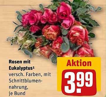 Rosen mit Eukalyptus¹
