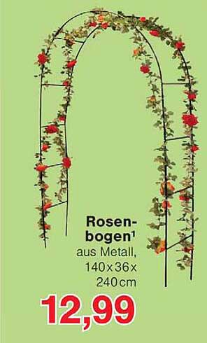 Rosenbogen¹ aus Metall, 140 x 36 x 240 cm