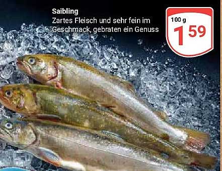 Saibling