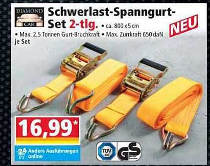 Schwerlast-Spanngurt-Set 2-tlg.