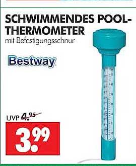 SCHWIMMENDES POOL-THERMOMETER mit Befestigungsschnur