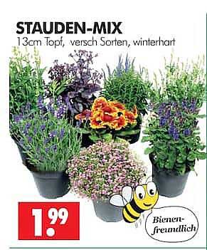 STAUDEN-MIX