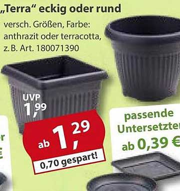 „Terra“ eckig oder rund