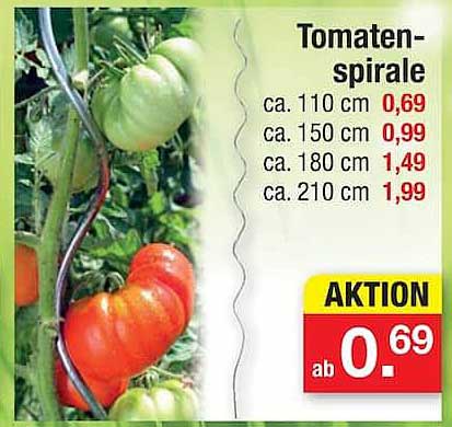 Tomaten-spirale